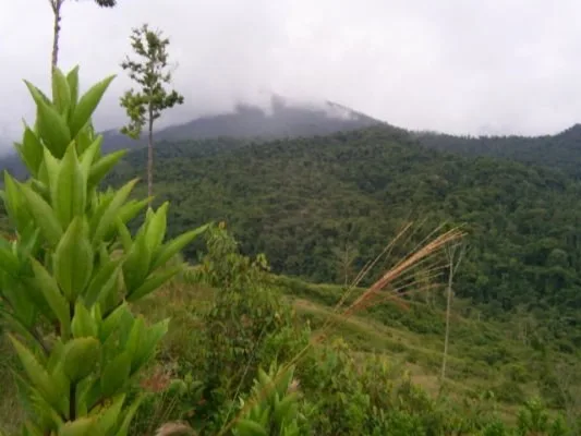 Stunning 17-Hectare Finca in Santa Elena, photo 3