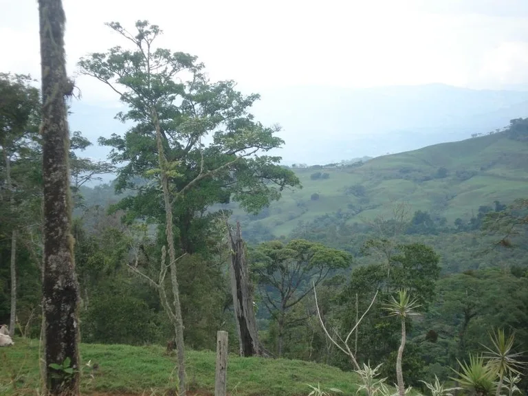 Stunning 17-Hectare Finca in Santa Elena, photo 4