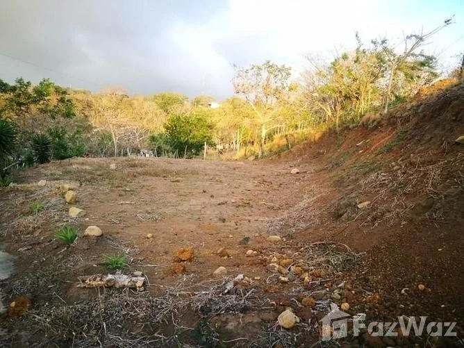 Land for Sale in Tilaran, Guanacaste for $16,375, photo 2