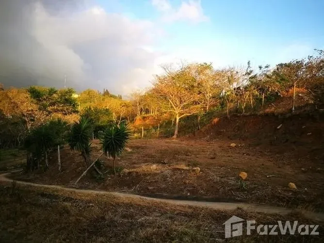 Land for Sale in Tilaran, Guanacaste for $16,375, photo 3