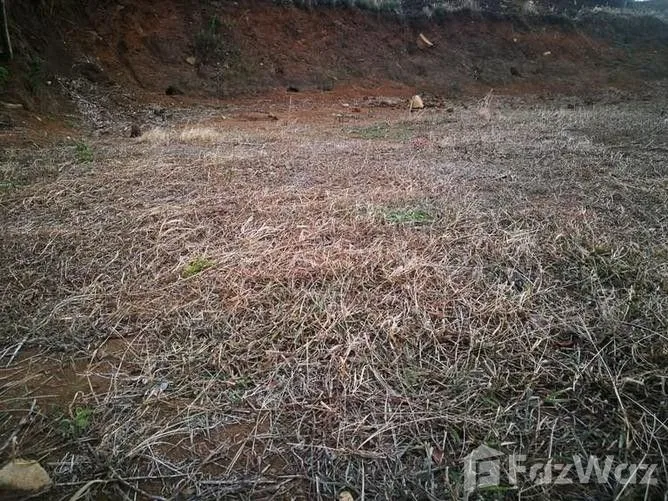 Land for Sale in Tilaran, Guanacaste for $16,375, photo 4