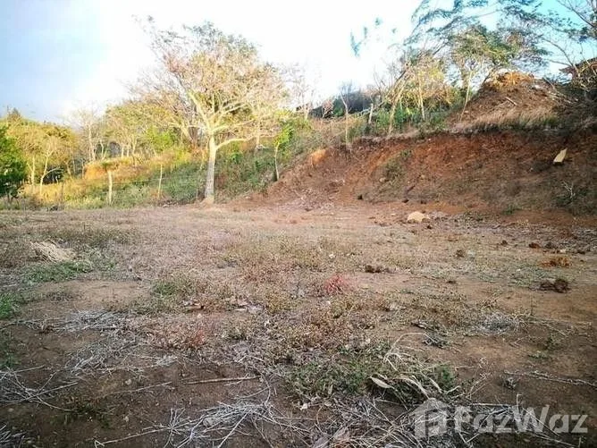 Land for Sale in Tilaran, Guanacaste for $16,375, photo 5