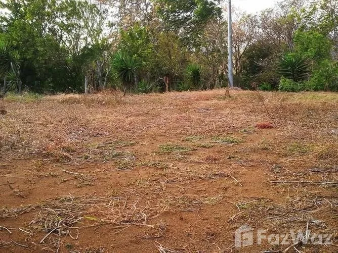 Land for Sale in Tilaran, Guanacaste for $16,375, photo 6