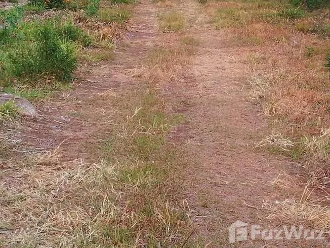 Land for Sale in Tilaran, Guanacaste for $16,375, photo 7