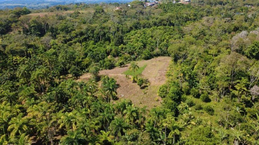 FINCA PRODUCTIVA EN VENTA – PUEBLO NUEVO DE CAJÓN, PÉREZ ZELEDÓN - Venta en Perez Zeledón, photo 11