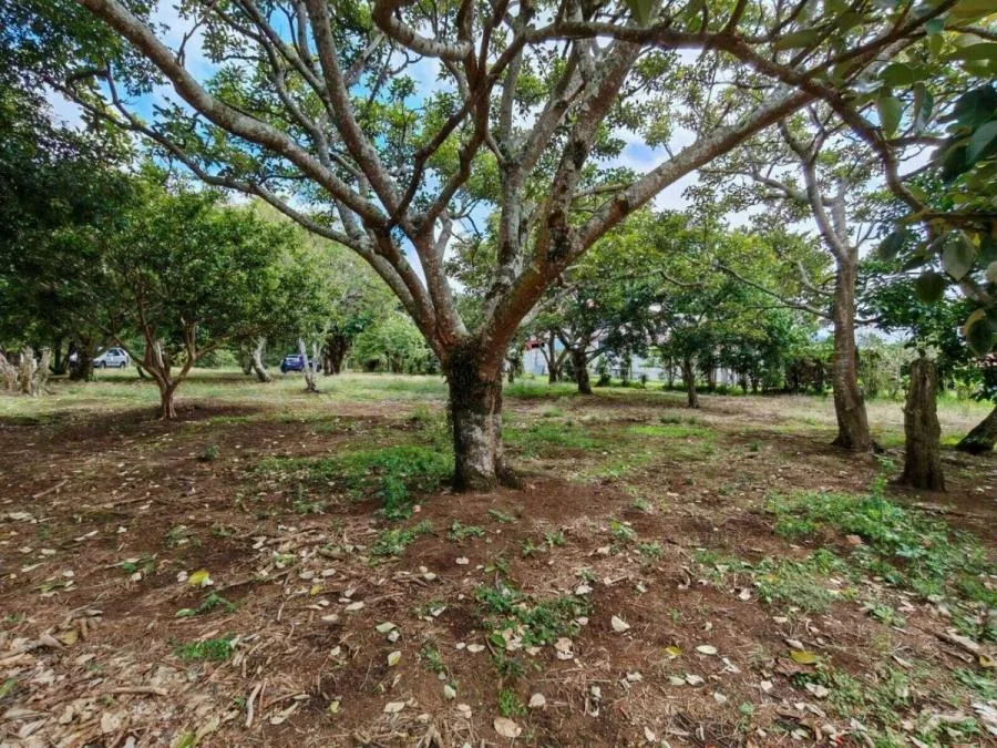 FINCA PRODUCTIVA EN VENTA – PUEBLO NUEVO DE CAJÓN, PÉREZ ZELEDÓN - Venta en Perez Zeledón, photo 13