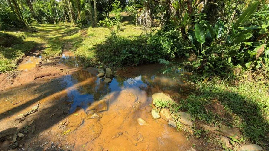 FINCA PRODUCTIVA EN VENTA – PUEBLO NUEVO DE CAJÓN, PÉREZ ZELEDÓN - Venta en Perez Zeledón, photo 6