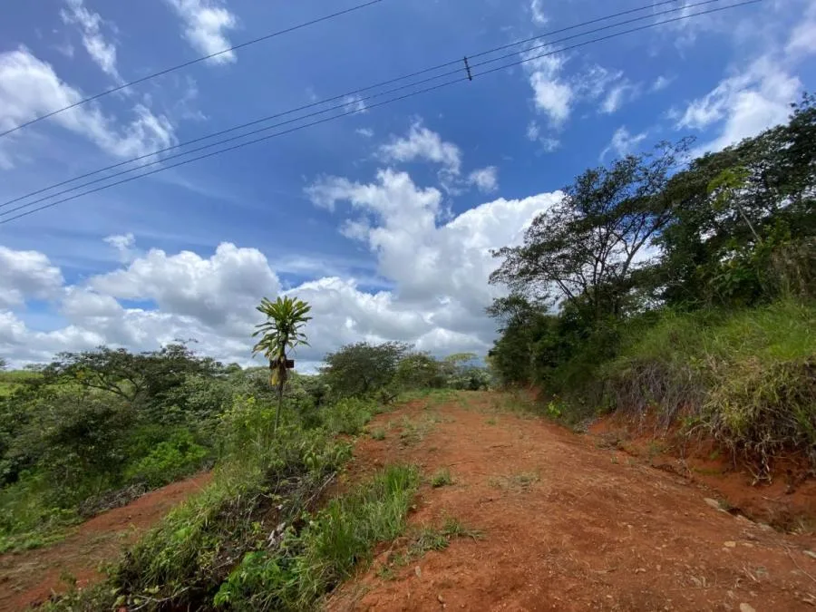 EN VENTA: TERRENO DE 1704 M² CON EXCELENTE UBICACIÓN Y PRIVACIDAD EN PÉREZ ZELEDÓN - Venta en Perez Zeledón, photo 7
