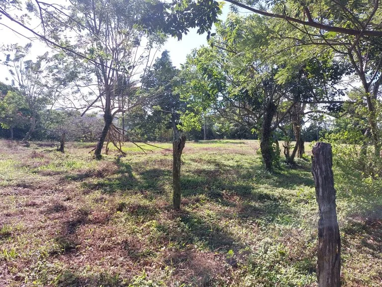 House in Nuevo Tronadora, photo 9