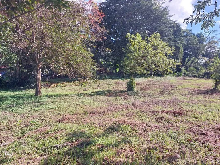 House in Nuevo Tronadora, photo 10
