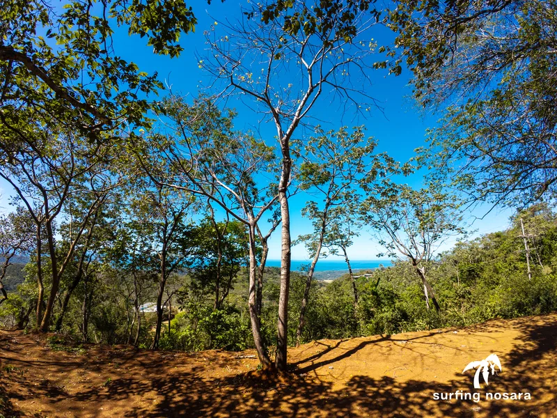 Land For Sale in Nosara