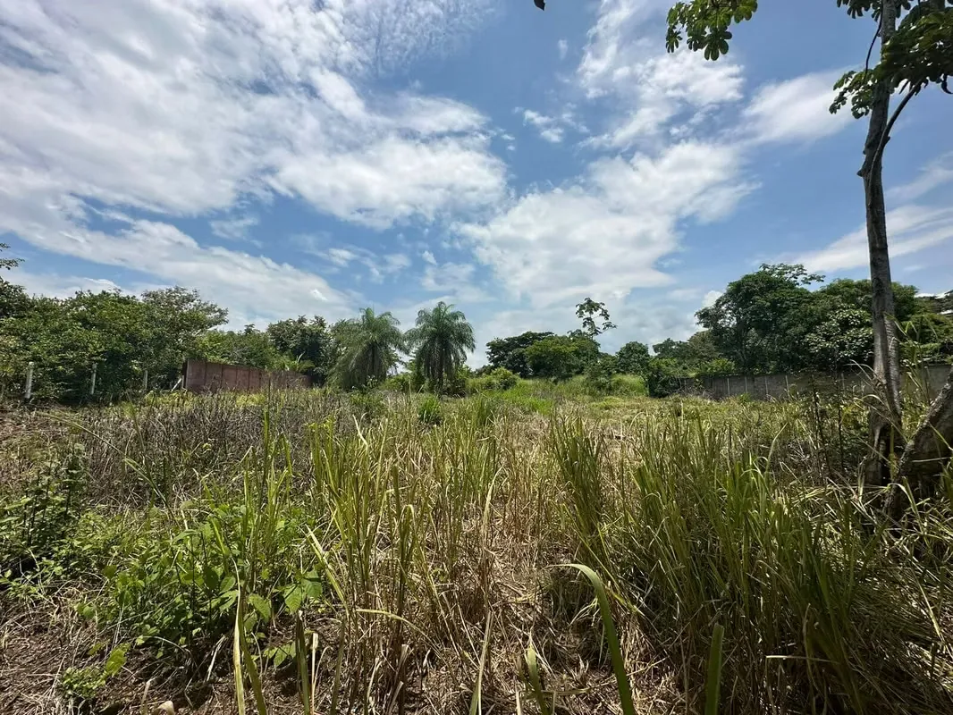 Two excellent flat lots to build, has all the services. Located 50 meters from the main road to Jacó and very close to Route 27 Each one at 38,000,000 colones