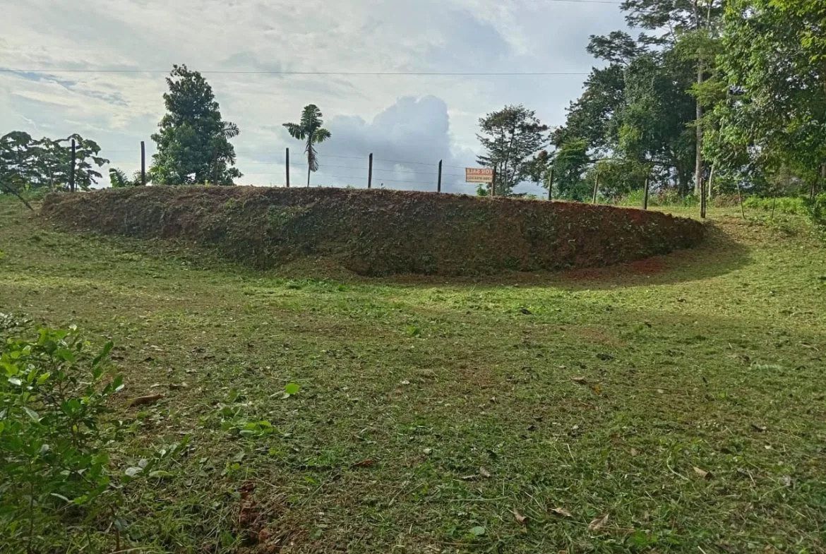 BUILDING PROPERTY WITH PANORAMIC OCEAN VIEWS, IN PUNTA MALA – 0.46 ACRES, photo 14