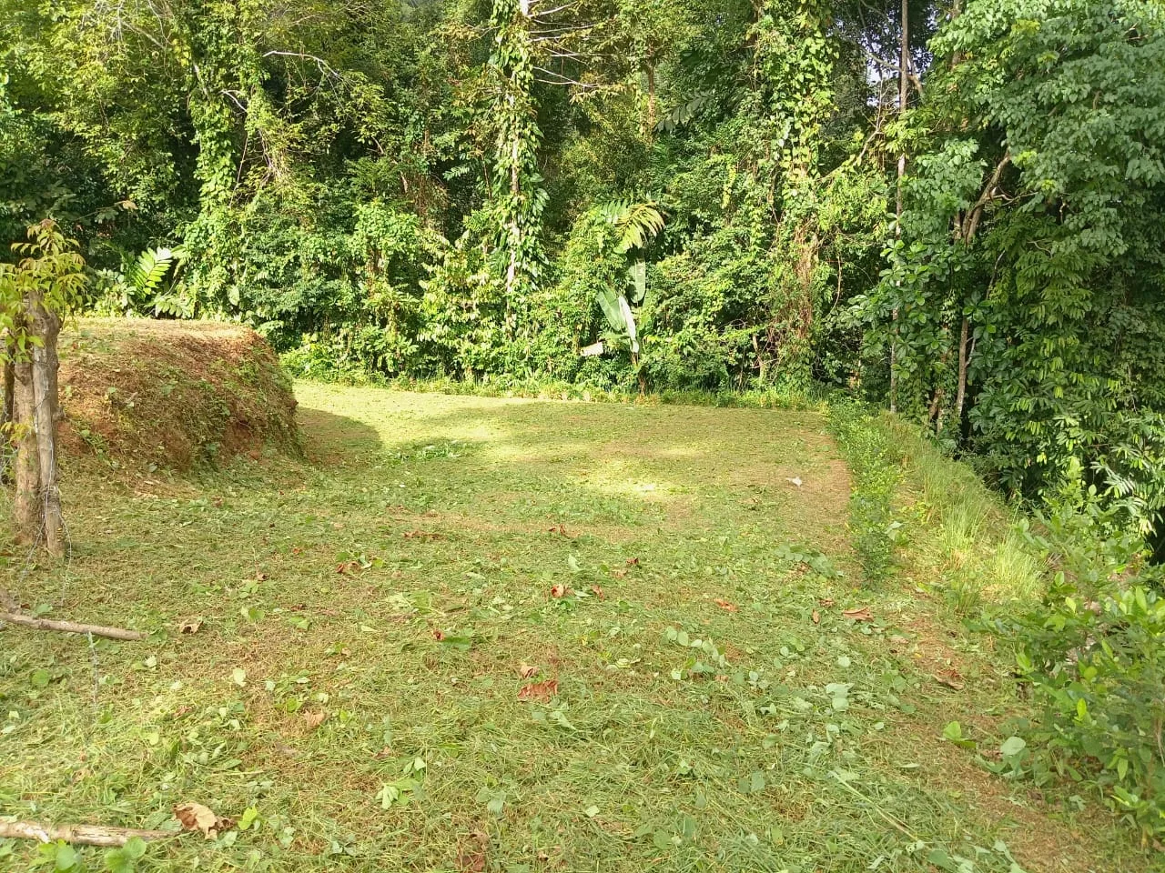BUILDING PROPERTY WITH PANORAMIC OCEAN VIEWS, IN PUNTA MALA – 0.46 ACRES, photo 15