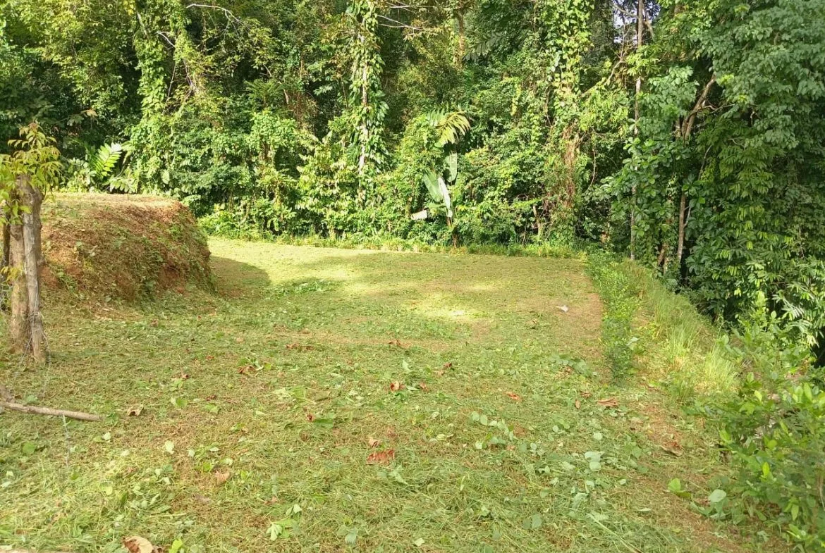 BUILDING PROPERTY WITH PANORAMIC OCEAN VIEWS, IN PUNTA MALA – 0.46 ACRES, photo 16