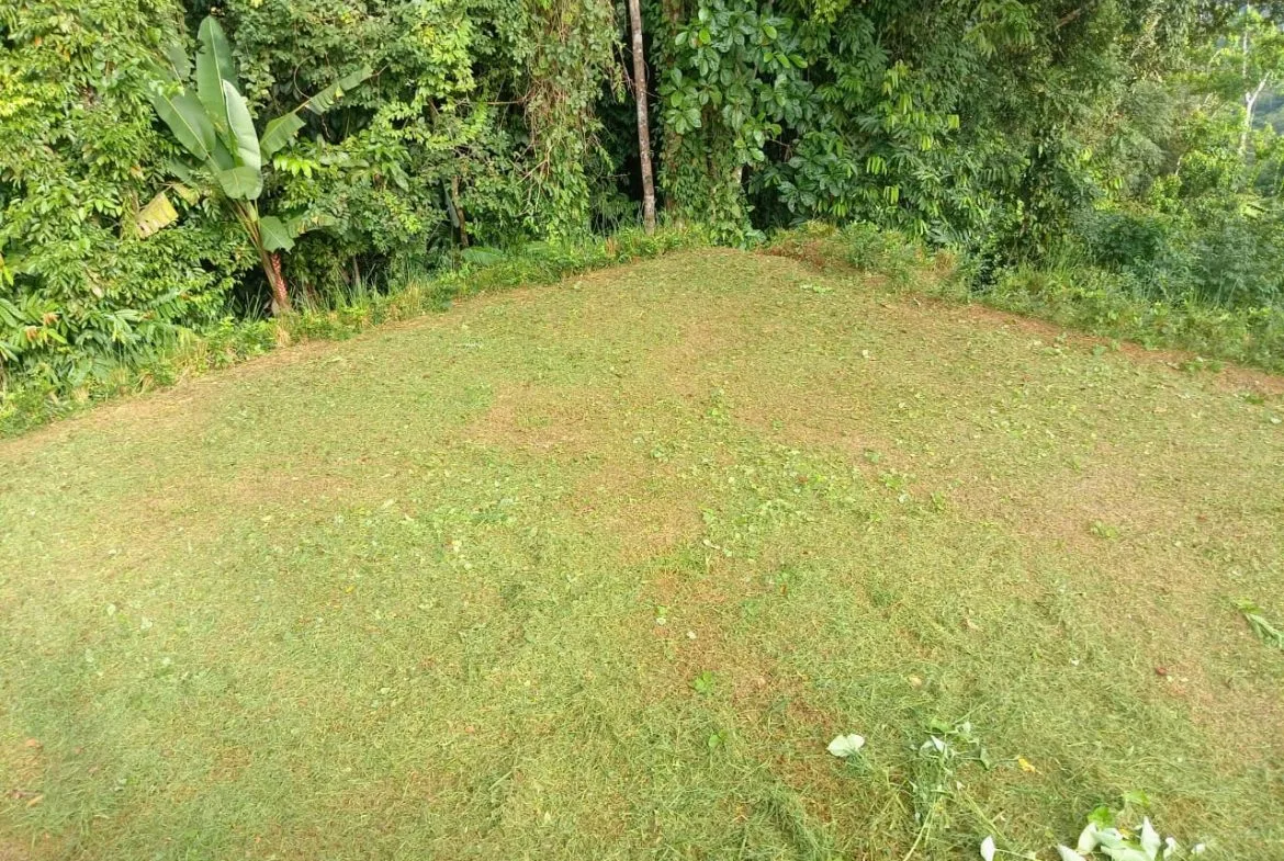BUILDING PROPERTY WITH PANORAMIC OCEAN VIEWS, IN PUNTA MALA – 0.46 ACRES, photo 20