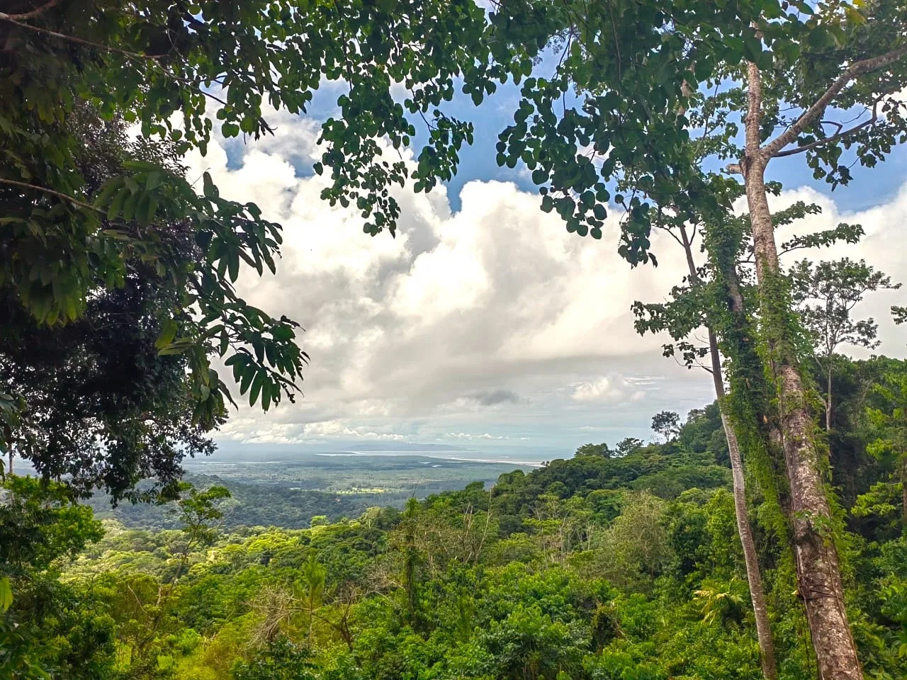 BUILDING PROPERTY WITH PANORAMIC OCEAN VIEWS, IN PUNTA MALA – 0.46 ACRES, photo 3