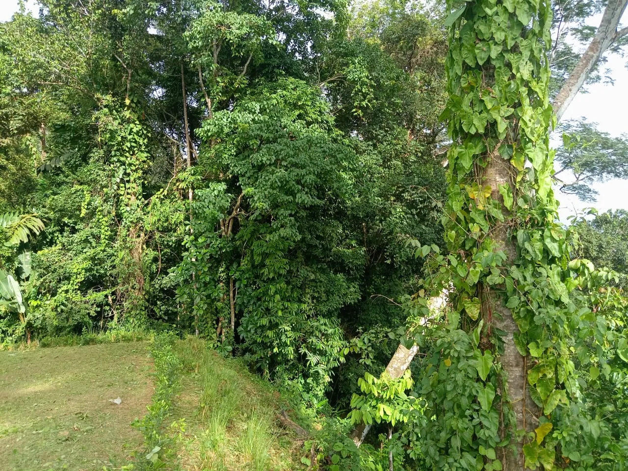 BUILDING PROPERTY WITH PANORAMIC OCEAN VIEWS, IN PUNTA MALA – 0.46 ACRES, photo 21