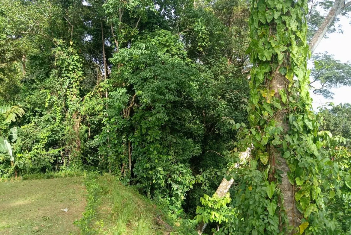 BUILDING PROPERTY WITH PANORAMIC OCEAN VIEWS, IN PUNTA MALA – 0.46 ACRES, photo 22