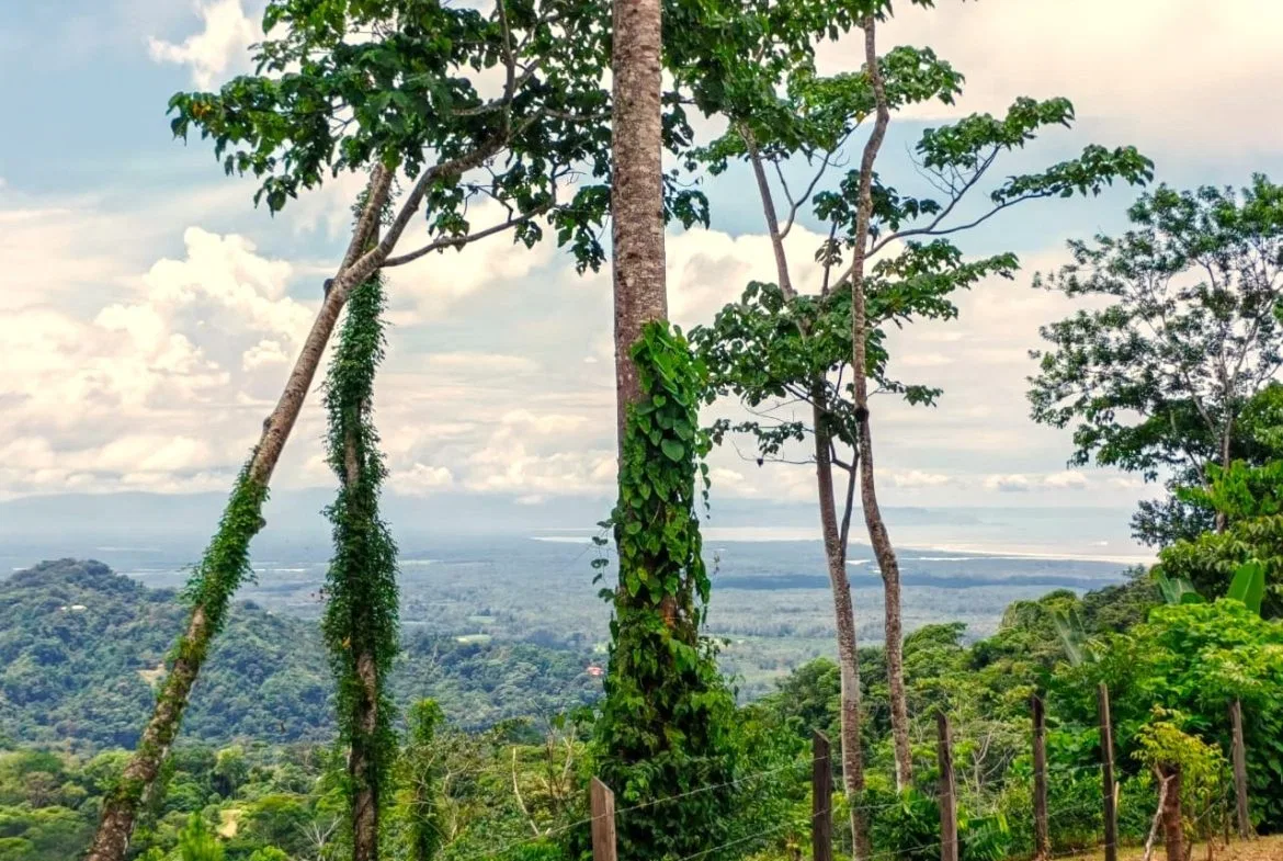 BUILDING PROPERTY WITH PANORAMIC OCEAN VIEWS, IN PUNTA MALA – 0.46 ACRES, photo 24