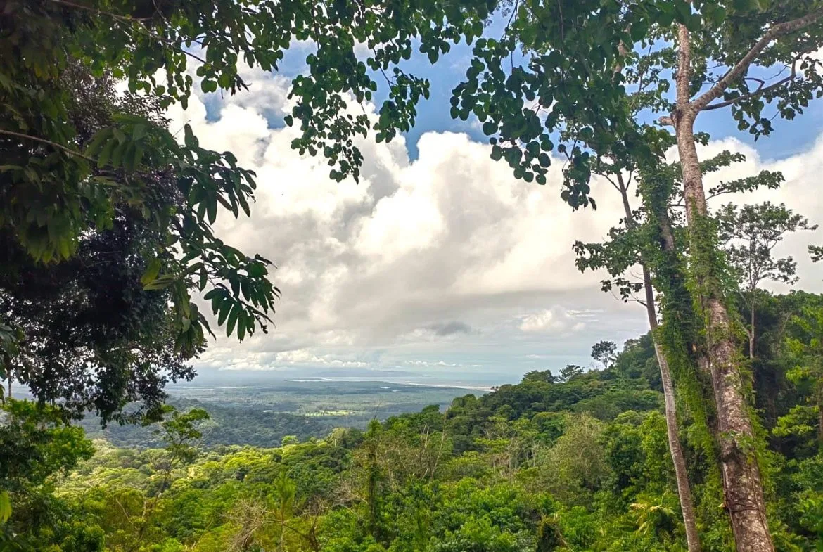 BUILDING PROPERTY WITH PANORAMIC OCEAN VIEWS, IN PUNTA MALA – 0.46 ACRES, photo 4