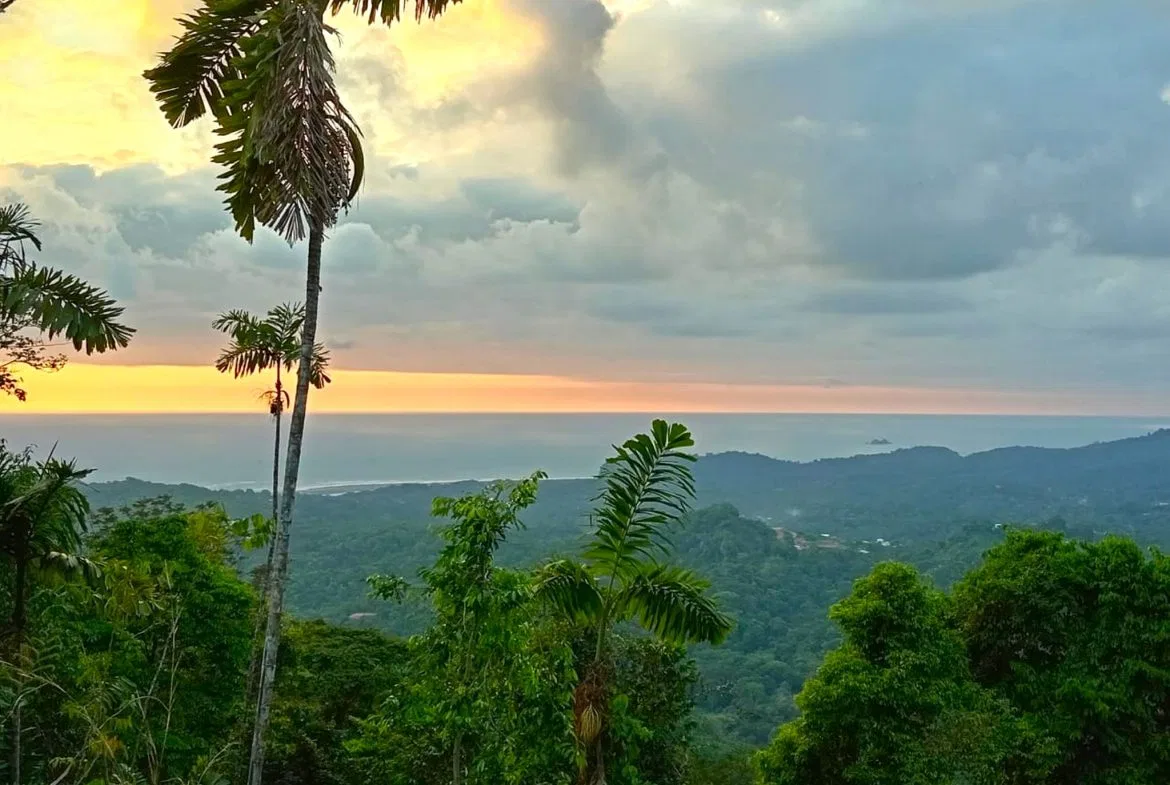 BUILDING PROPERTY WITH PANORAMIC OCEAN VIEWS, IN PUNTA MALA – 0.46 ACRES, photo 6