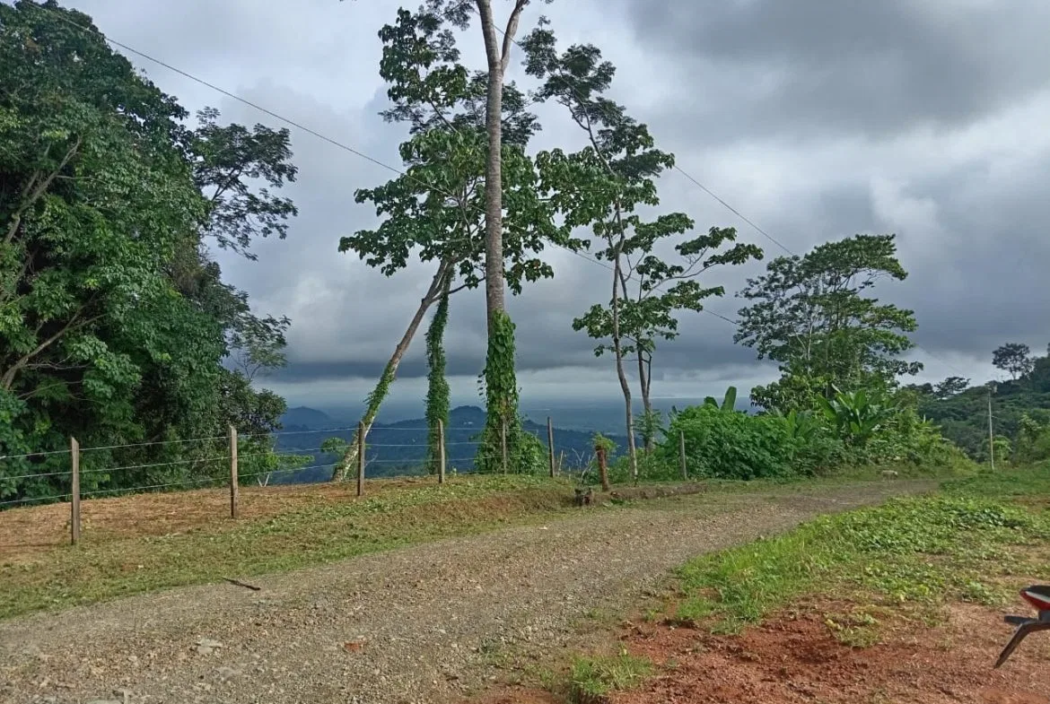 BUILDING PROPERTY WITH PANORAMIC OCEAN VIEWS, IN PUNTA MALA – 0.46 ACRES, photo 8