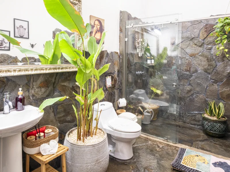 8 Bed Single Family Homes For Sale in Jaco, photo 23