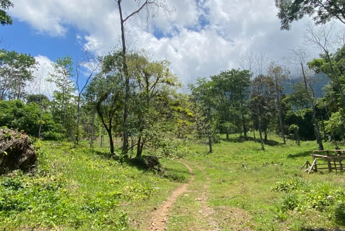 Development Opportunity in Ojochal – 22 Acres, photo 2