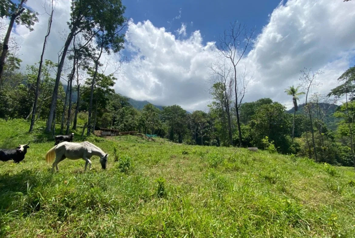 Development Opportunity in Ojochal – 22 Acres, photo 12