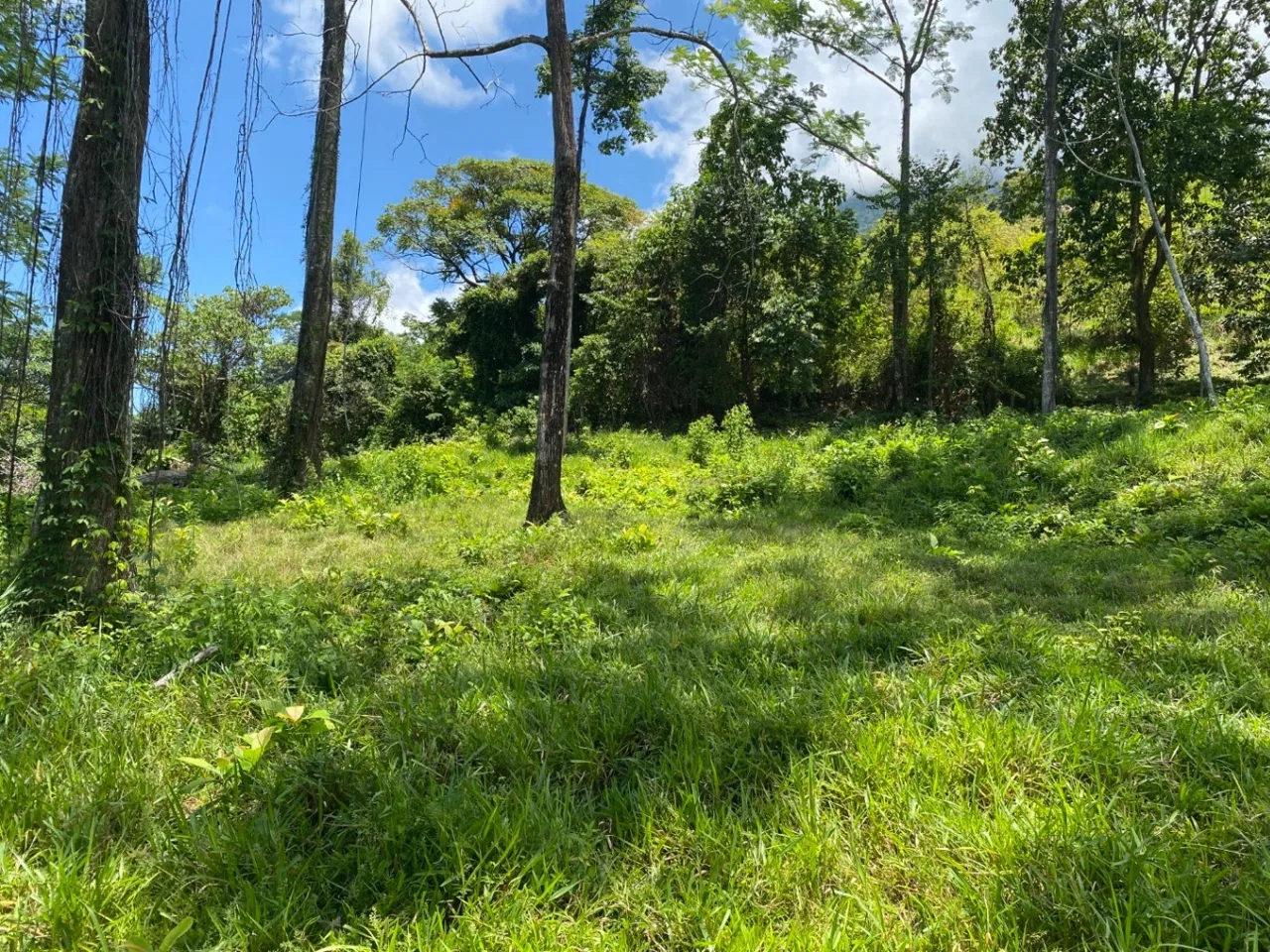 Development Opportunity in Ojochal – 22 Acres, photo 13