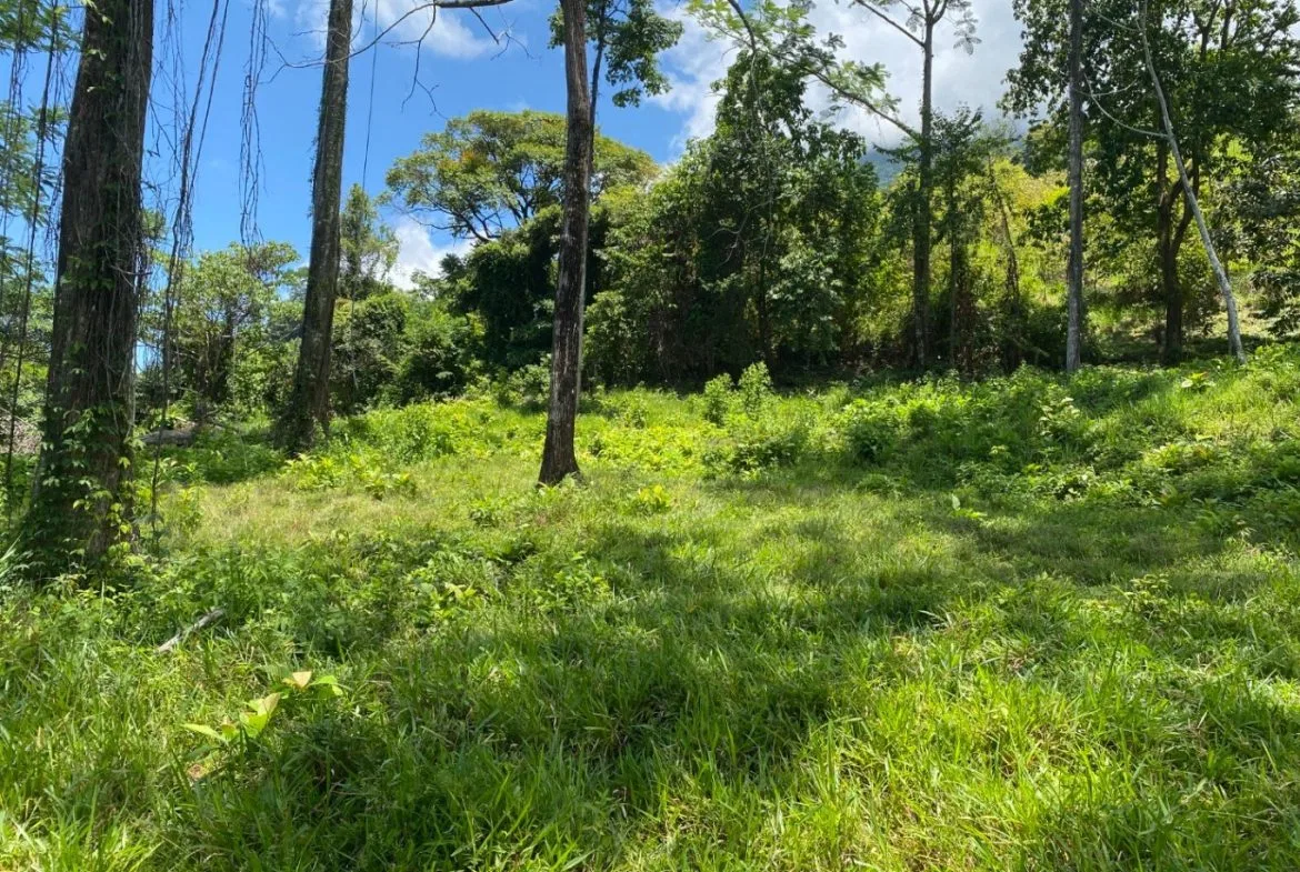 Development Opportunity in Ojochal – 22 Acres, photo 14