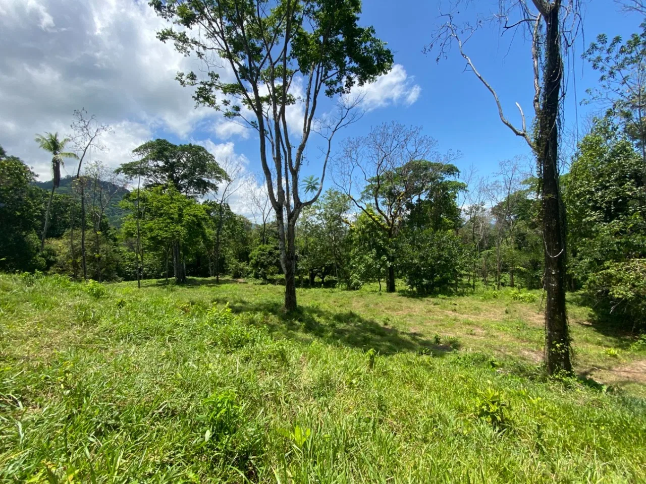 Development Opportunity in Ojochal – 22 Acres, photo 15