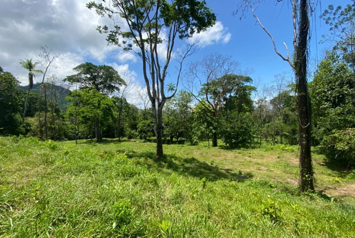 Development Opportunity in Ojochal – 22 Acres, photo 16