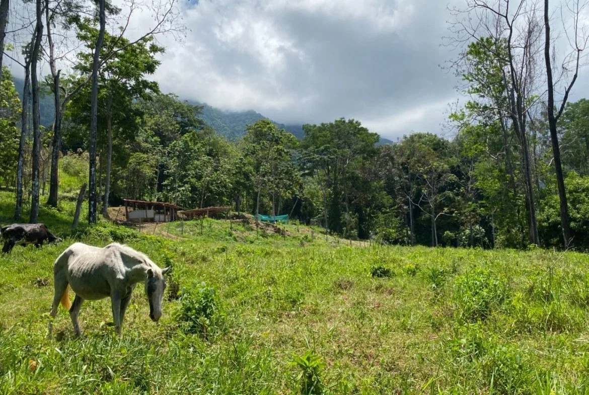 Development Opportunity in Ojochal – 22 Acres, photo 18