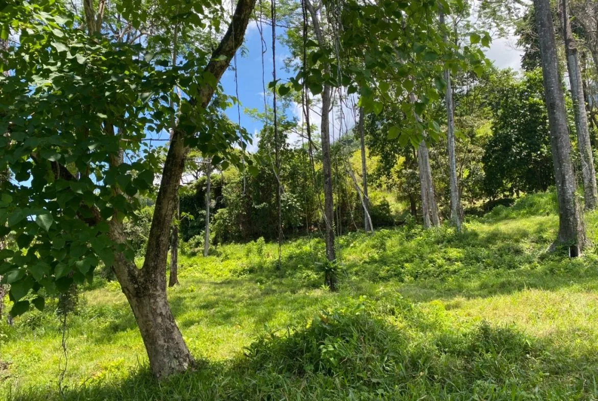 Development Opportunity in Ojochal – 22 Acres, photo 20