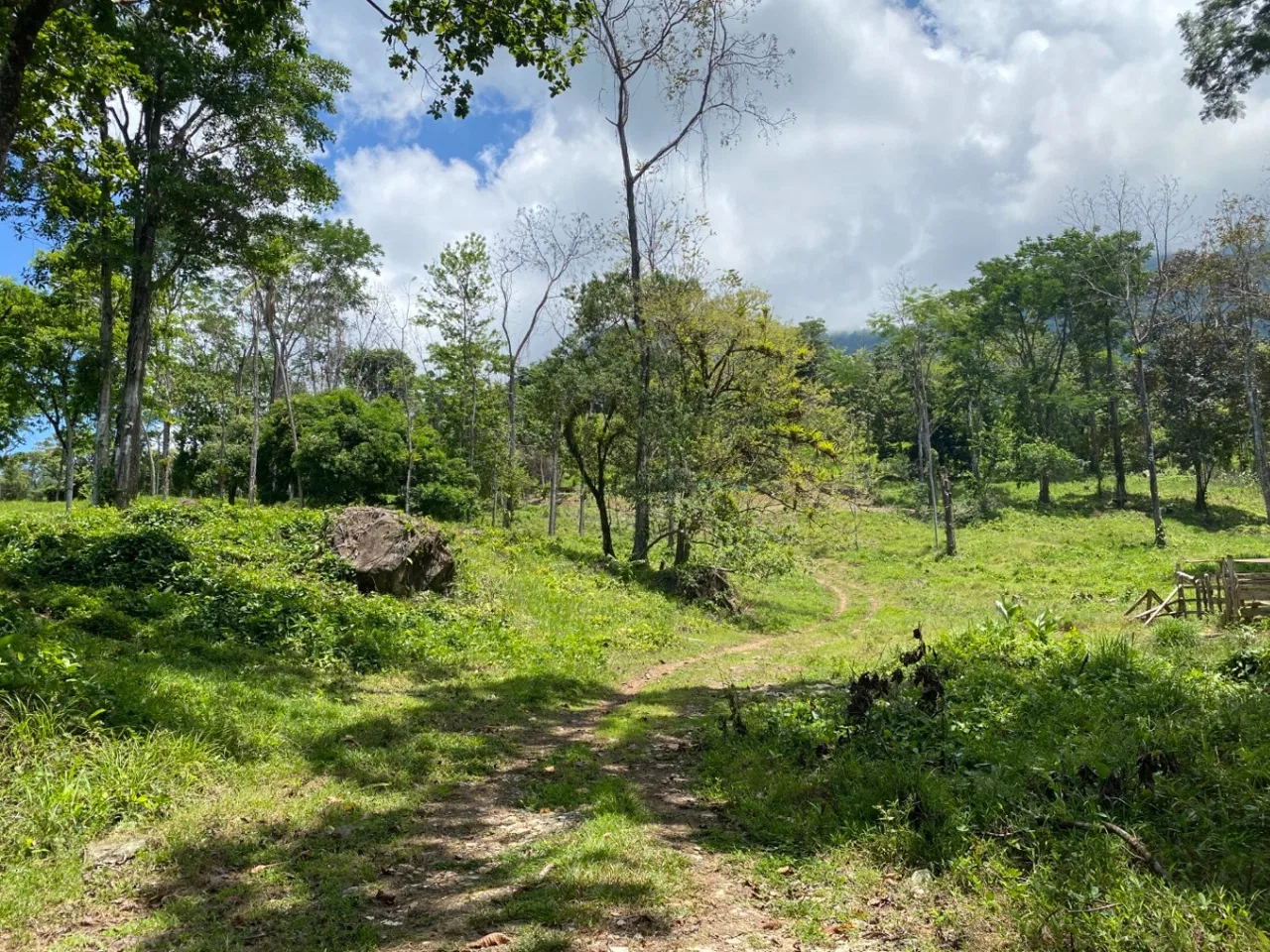 Development Opportunity in Ojochal – 22 Acres, photo 3