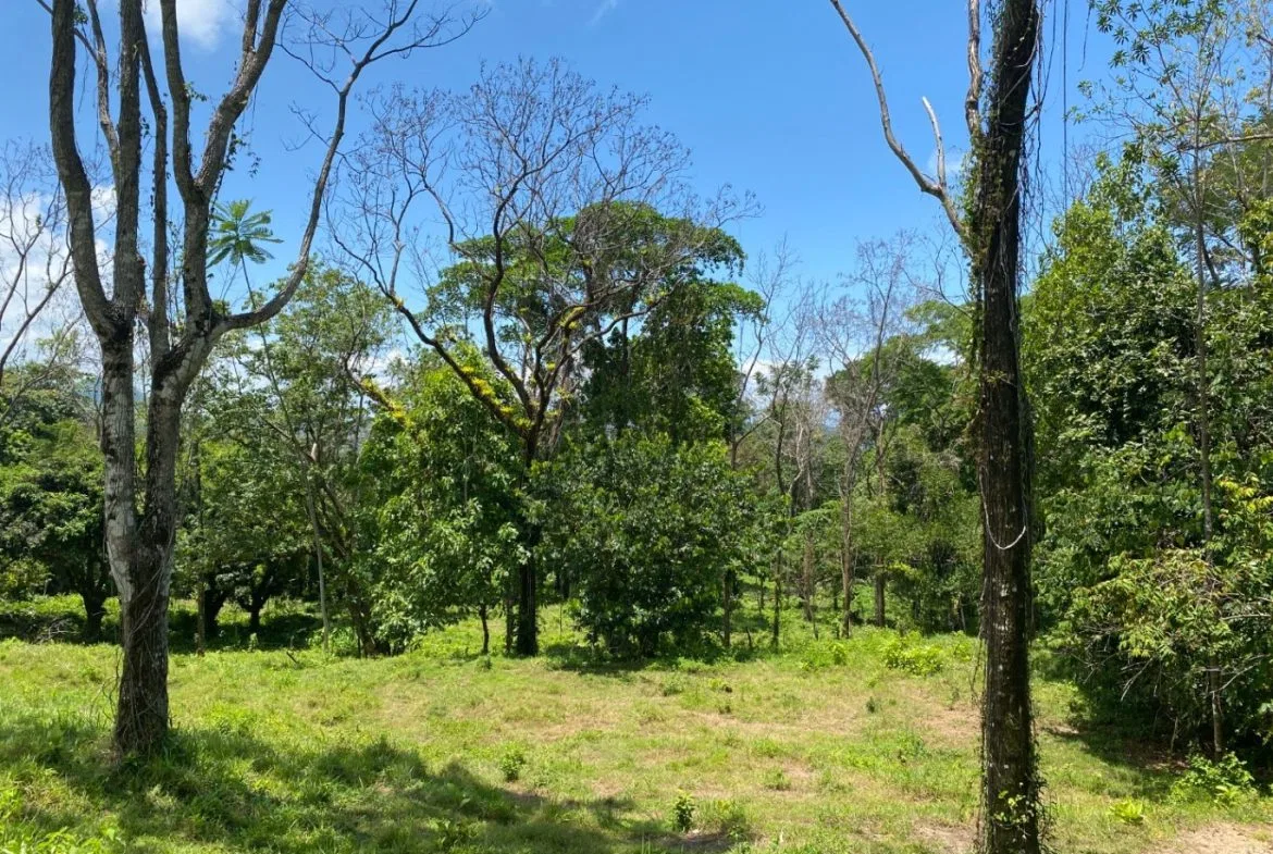 Development Opportunity in Ojochal – 22 Acres, photo 22