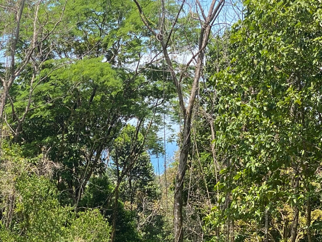 Development Opportunity in Ojochal – 22 Acres, photo 23