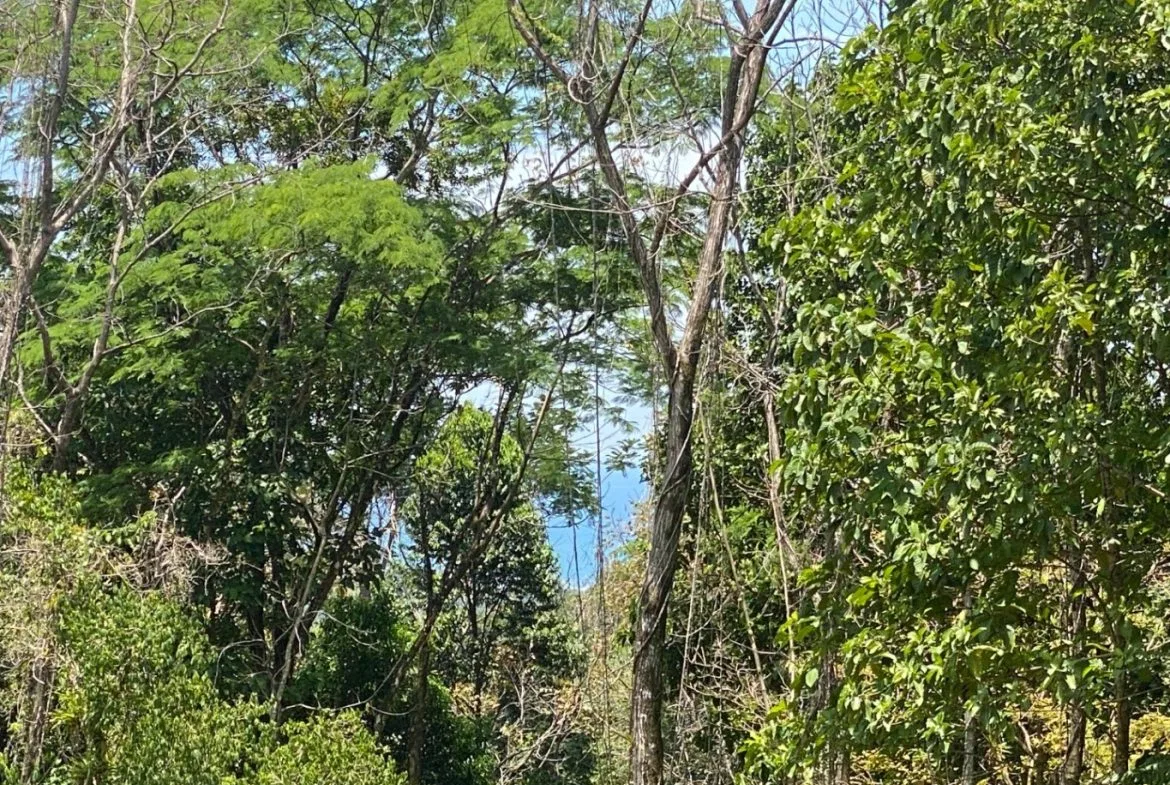 Development Opportunity in Ojochal – 22 Acres, photo 24