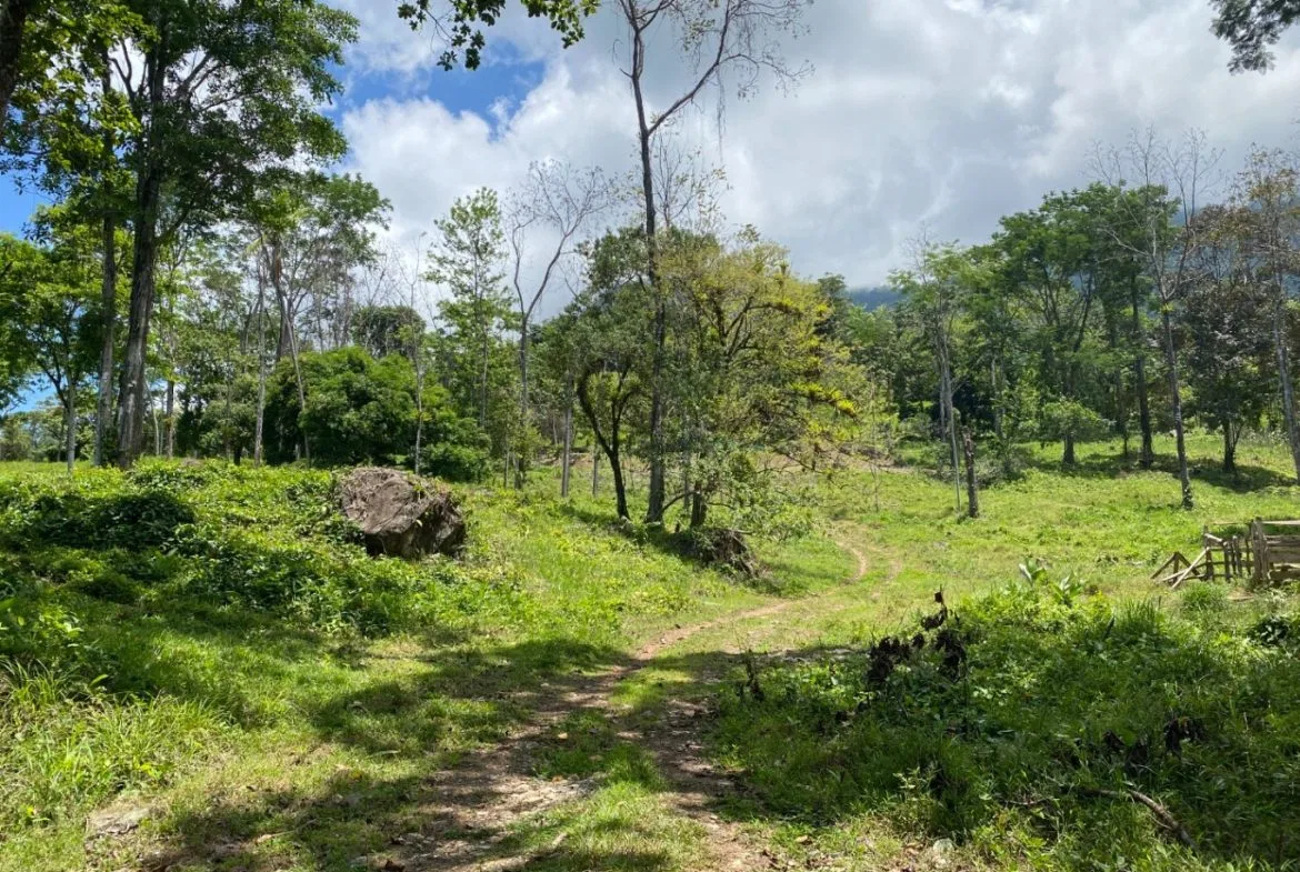 Development Opportunity in Ojochal – 22 Acres, photo 4