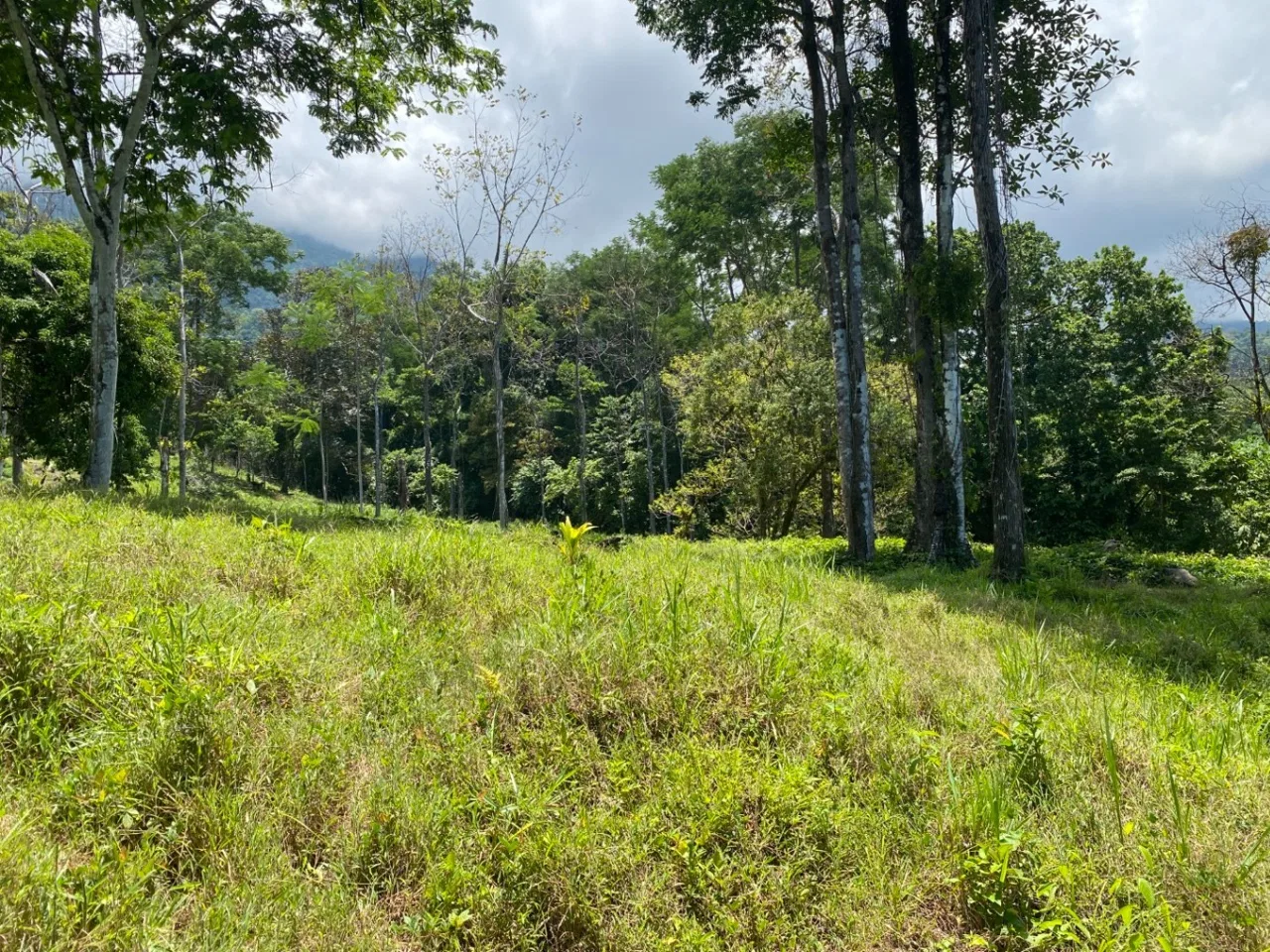 Development Opportunity in Ojochal – 22 Acres, photo 7