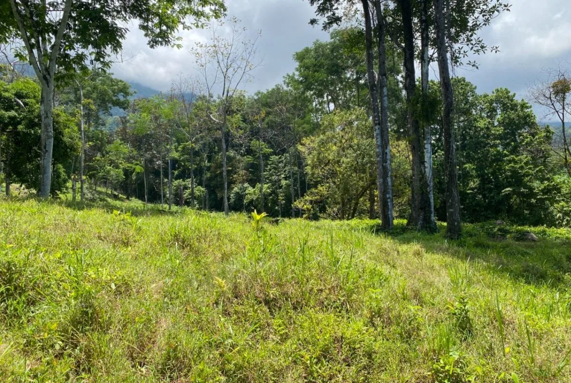 Development Opportunity in Ojochal – 22 Acres, photo 8