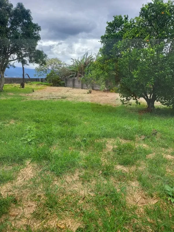 Se Vende Terreno para Desarrollo (Residencial o Comercial), photo 12