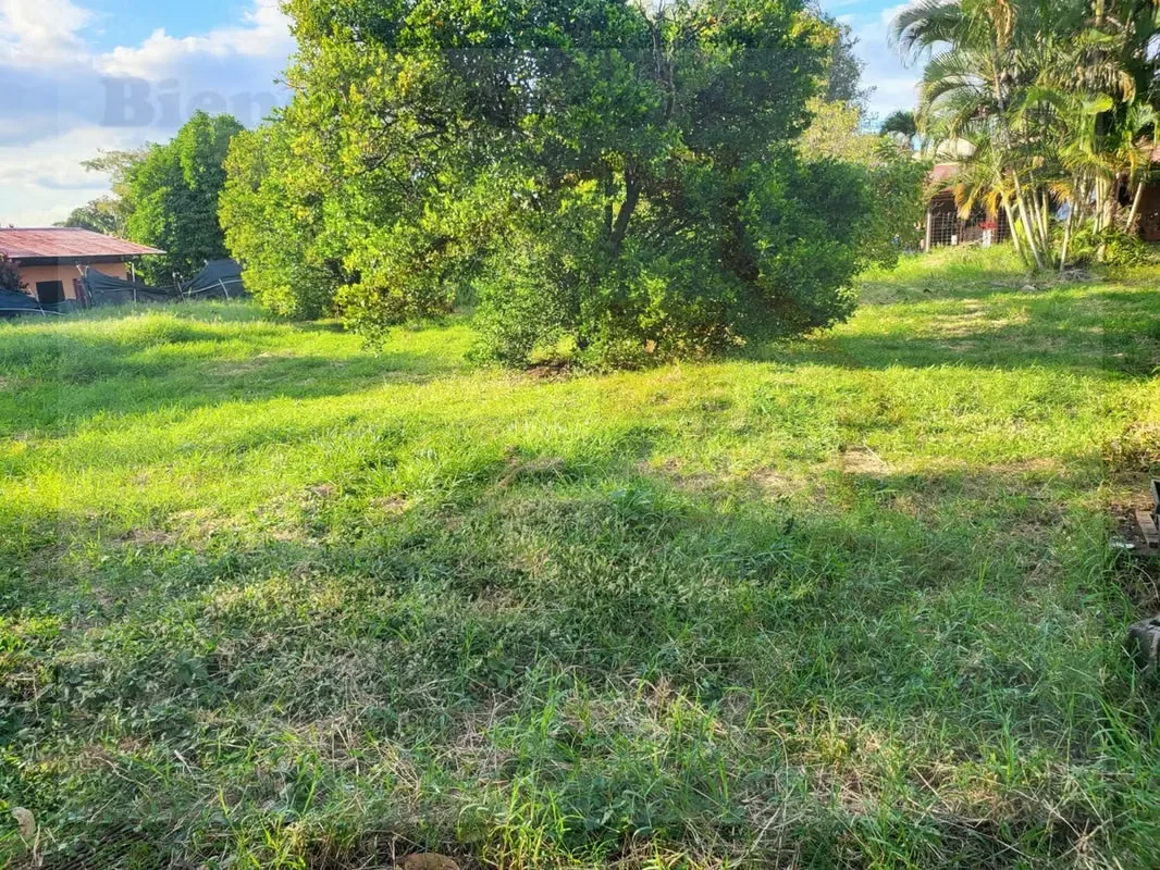 Se Vende Terreno para Desarrollo (Residencial o Comercial), photo 14