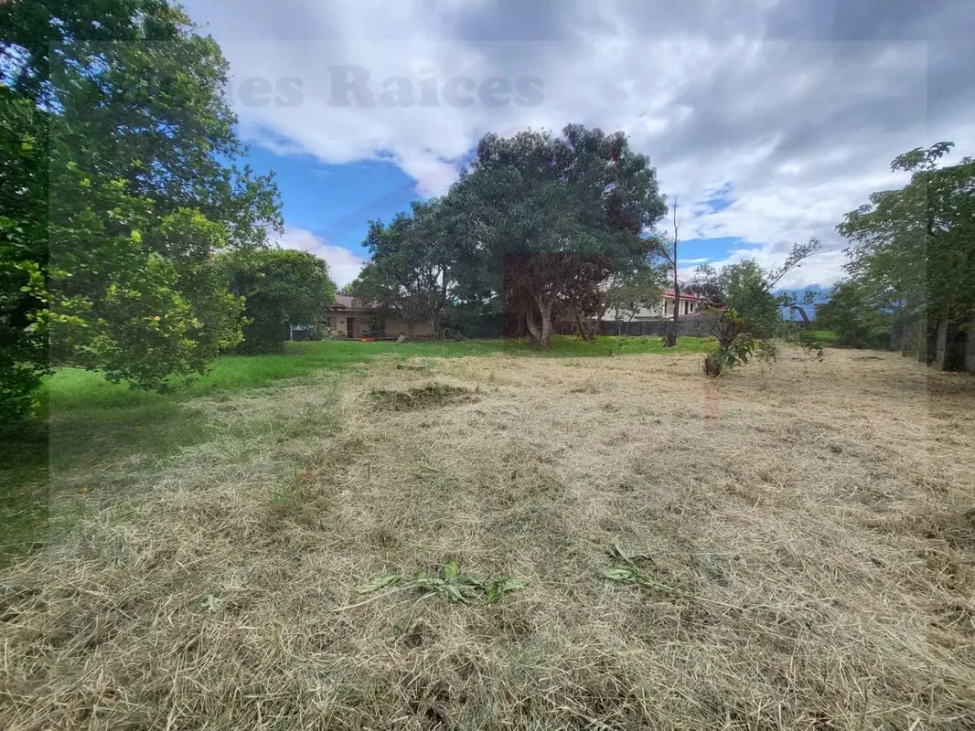 Se Vende Terreno para Desarrollo (Residencial o Comercial), photo 16