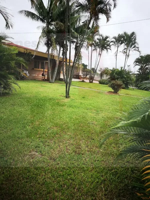 Se Vende Terreno para Desarrollo (Residencial o Comercial), photo 4