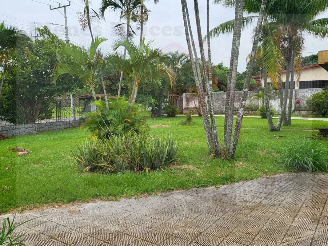 Se Vende Terreno para Desarrollo (Residencial o Comercial), photo 8