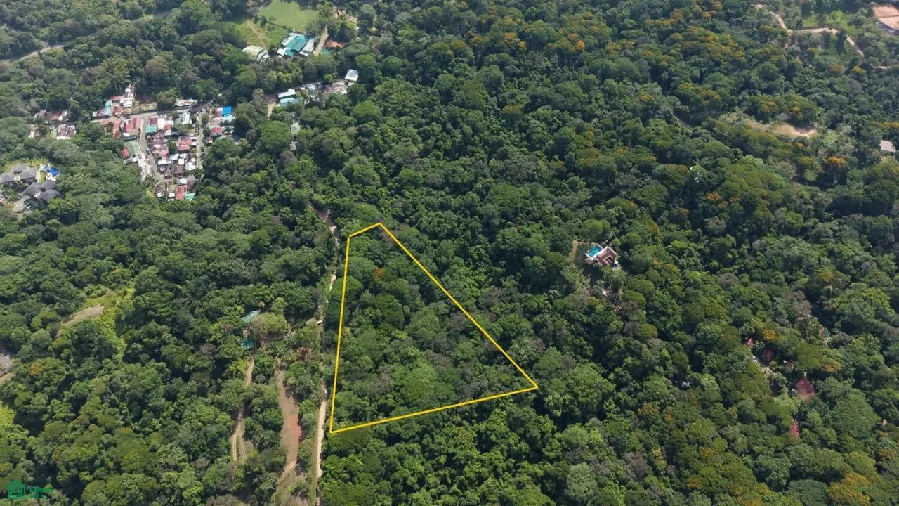 Domincalito, Bahía Ballena, Puntarenas 60504
