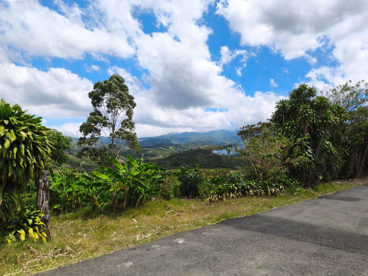 SE VENDE! Lote en San Isidro de Grecia